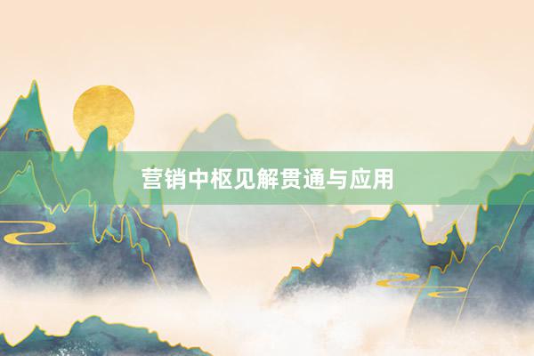 营销中枢见解贯通与应用